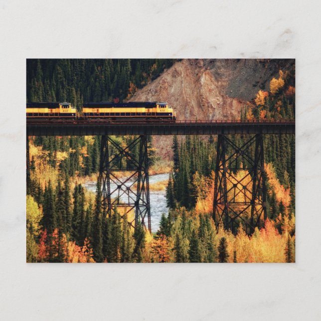 Nationalpark Denali und Preserve USA Alaska Postkarte (Vorderseite)