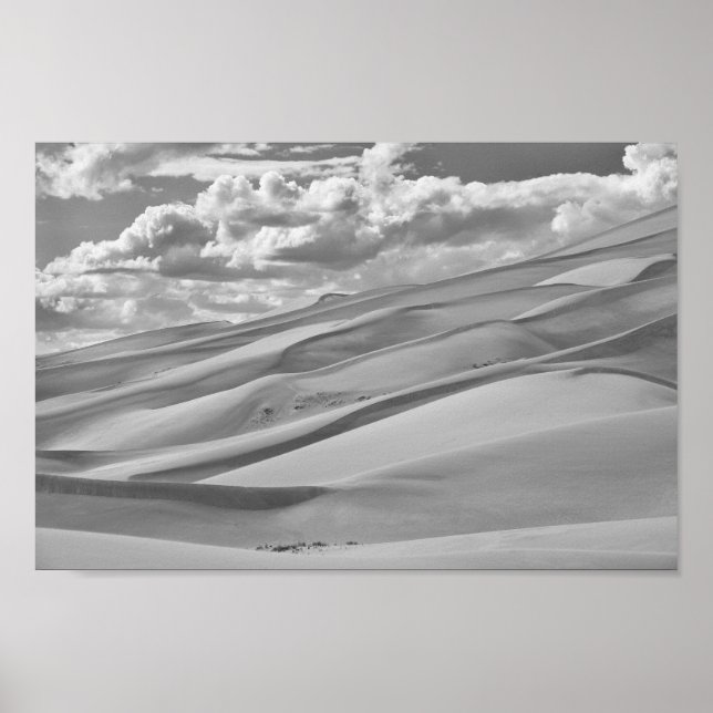 Nationalpark der Großen Sanddünen und Erhaltung de Poster (Vorne)