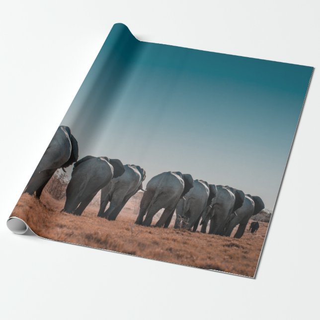 NATIONALPARK ETOSHA GESCHENKPAPIER (Ungerollt)