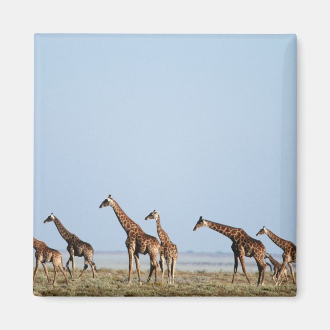 Nationalpark Etosha, Namibia 2 Magnet (Vorne)