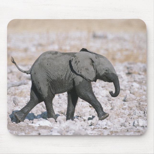 Nationalpark Etosha, Namibia Mousepad (Vorne)