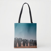 NATIONALPARK ETOSHA