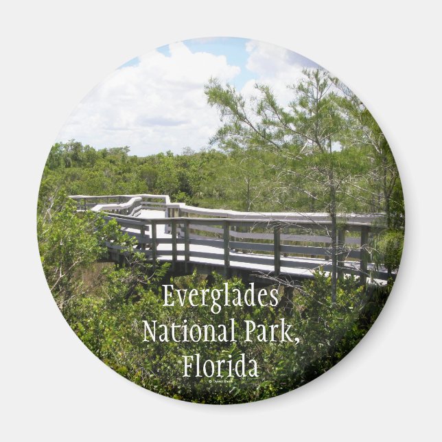 Nationalpark Everglades, Florida Magnet (Vorne)