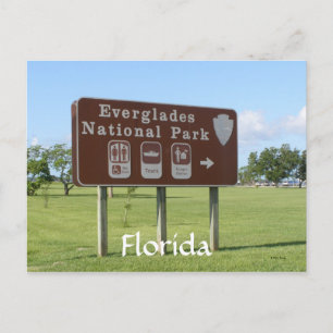 Nationalpark Everglades, Florida Postkarte