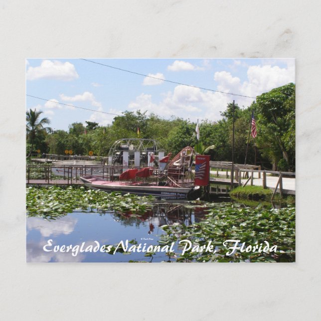 Nationalpark Everglades, Florida Postkarte (Vorderseite)
