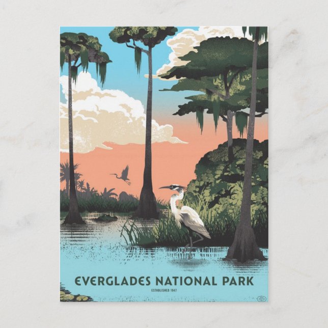Nationalpark Everglades Postkarte (Vorderseite)
