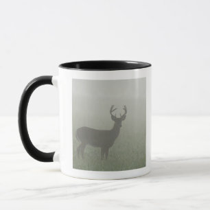 Nationalpark Great Smoky Mountains, Tennesse, Tasse