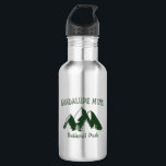 Nationalpark Guadalupe Edelstahlflasche<br><div class="desc">Der Guadalupe Mountains National Park schützt das weltweit größte Permian Fossil Riff und hat die vier höchsten Gipfel in Texas!</div>