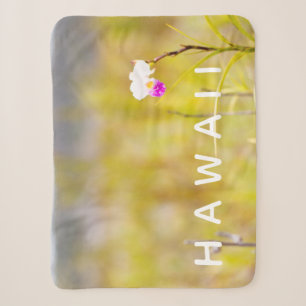 Nationalpark Hawaii Tropical Orchid Sherpadecke