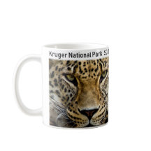 Nationalpark Leopard