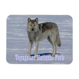 Nationalpark Lone Wolf Voyageurs, Minnesota Magnet