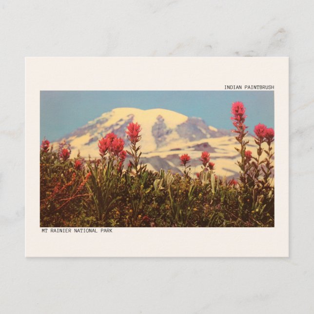 Nationalpark Mount Rainier Postkarte (Vorderseite)