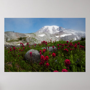 Nationalpark Rainier, Berg Rainier 1 Poster