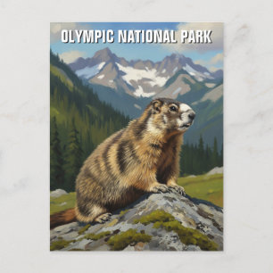 Nationalpark-Reise nach Washington Postkarte