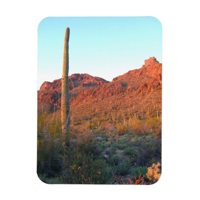 Nationalpark Saguaro Magnet (Vertikal)