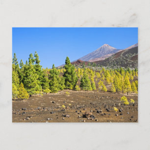 Nationalpark Teide Landschaft Teneriffa Postkarte