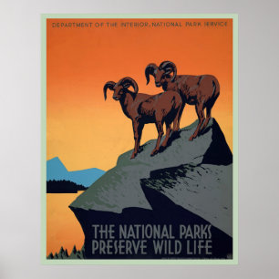 Nationalpark Vintage Poster