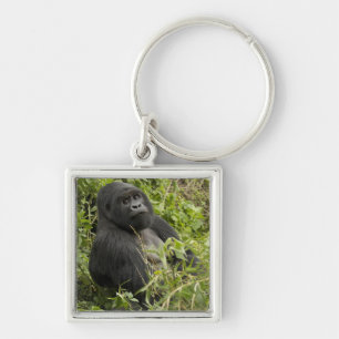 Nationalpark Vulkanberge, Östlicher Gorilla Schlüsselanhänger