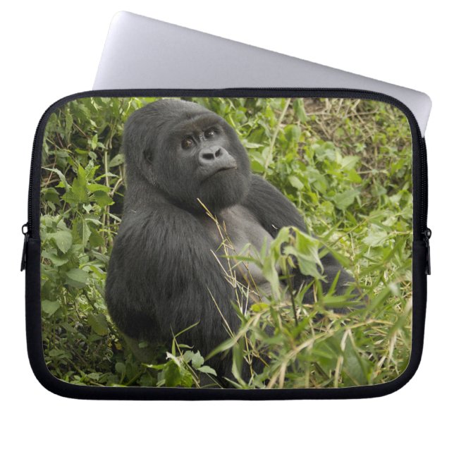 Nationalpark Vulkane, Gorilla Laptopschutzhülle (Vorderseite)