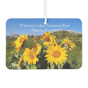 Nationalpark Waterton Lakes Autolufterfrischer