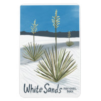 Nationalpark Weißer Sand New Mexico Gypsum Yucca