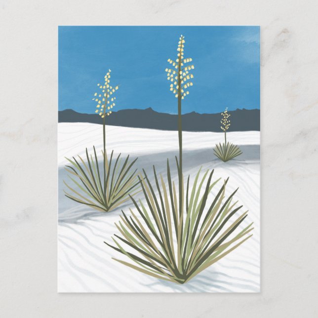 Nationalpark Weißer Sand New Mexico Gypsum Yucca Postkarte (Vorderseite)