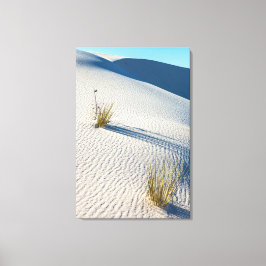 Nationalpark White Sands Landschaft Leinwanddruck