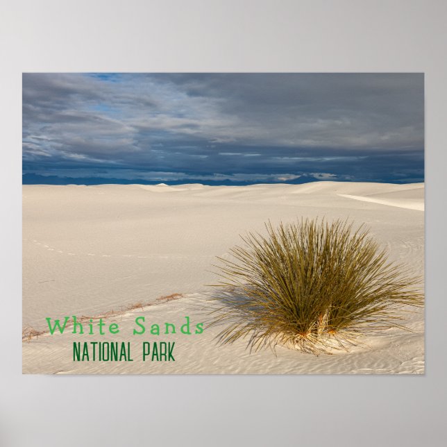 Nationalpark White Sands Poster (Vorne)