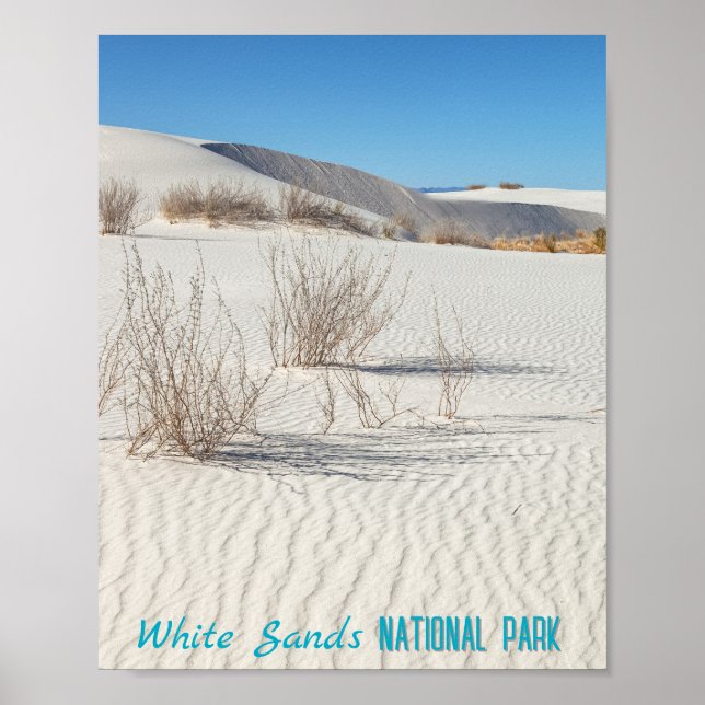 Nationalpark White Sands Poster (Vorne)