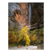 Nationalpark Zion, Utah. USA. Ephemal