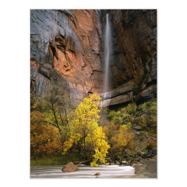 Nationalpark Zion, Utah. USA. Ephemal Fotodruck (Vorne)