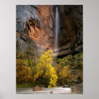 Nationalpark Zion, Utah. USA. Ephemal