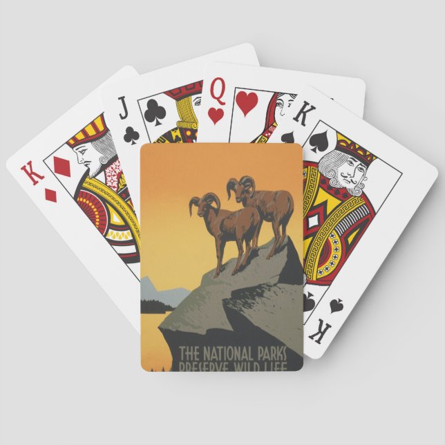 Nationalparks - Erhaltung des wild lebenden Lebens Spielkarten (Rückseite)