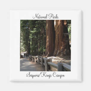 Nationalparks - Mammutbaum/Könige Canyon Magnet