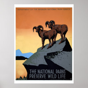 Nationalparks WPA-Reise Poster