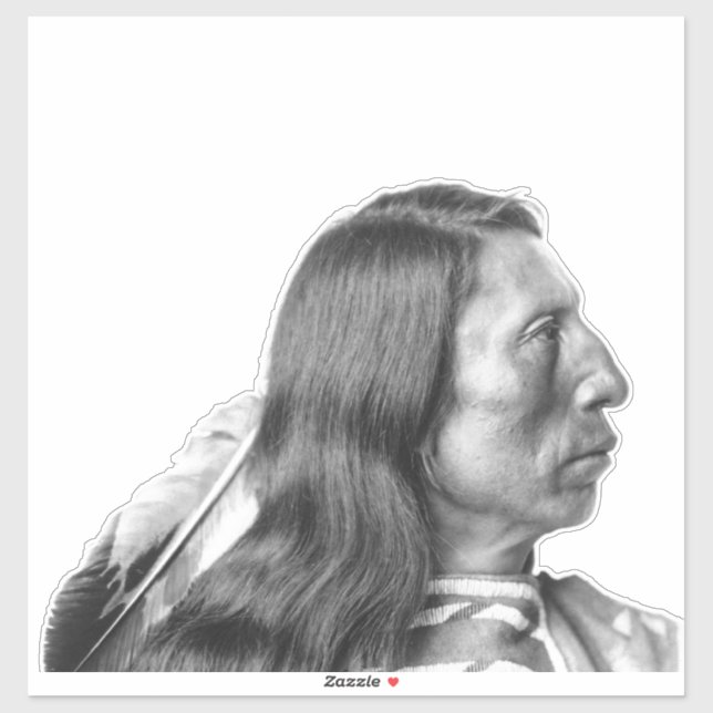 NATIVE AMERIKANER DIE CUT AUTO DECAL STICKER (Blatt)