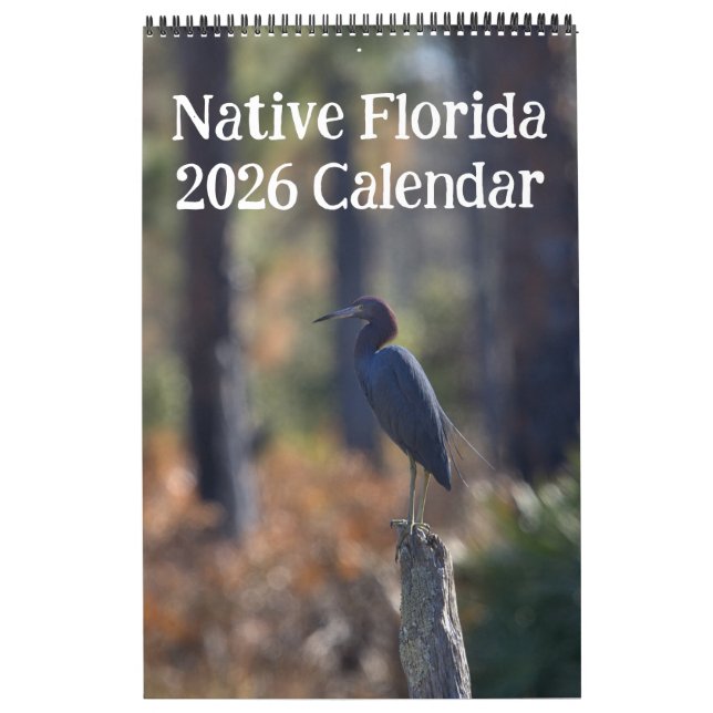 Native Florida 2026 Kalender (Titelbild)