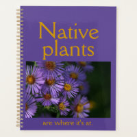 Native Pflanze sind dort, wo sie sind