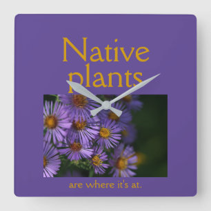 Native plants are where it's at quadratische wanduhr