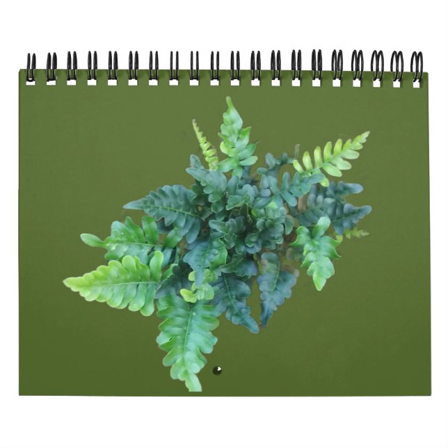 Native Plants - Pacific northwest Kalender (Titelbild)