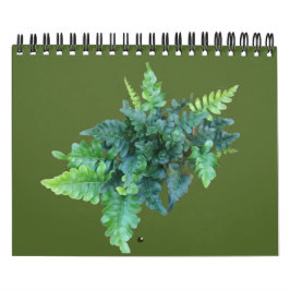 Native Plants - Pacific northwest Kalender