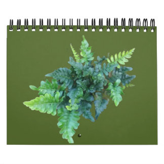 Native Plants - Pacific northwest Kalender
