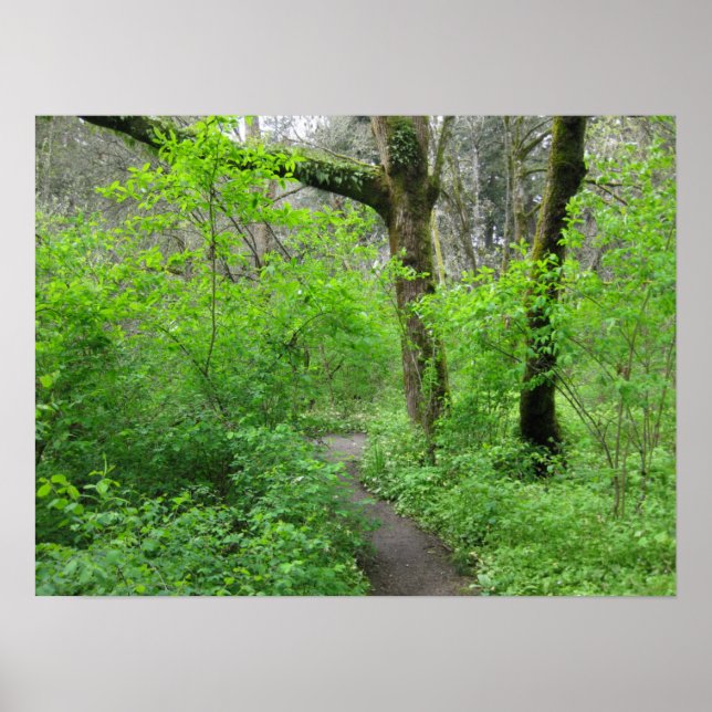 Natur-Bahn-Plakat Poster (Vorne)