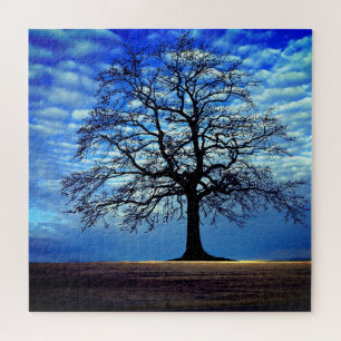 Natur - Baum - schön