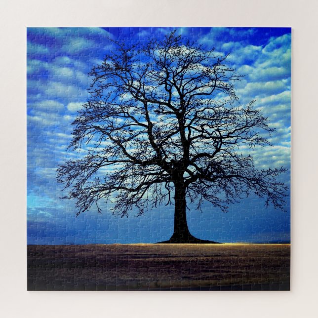 Natur - Baum - schön (Horizontal)