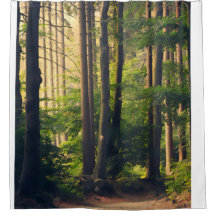 Natur, Bäume im Nationalpark