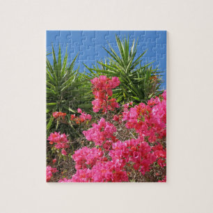 Natur, Blume, Sommer, lila, Blüte, Blumen, p