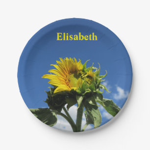Natur, Blume, Sommer, Sonnenblumen, Blumen, Blumen Pappteller