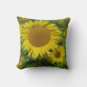 Natur, Blume, Sommer, Sonnenblumen, Blumen Kissen