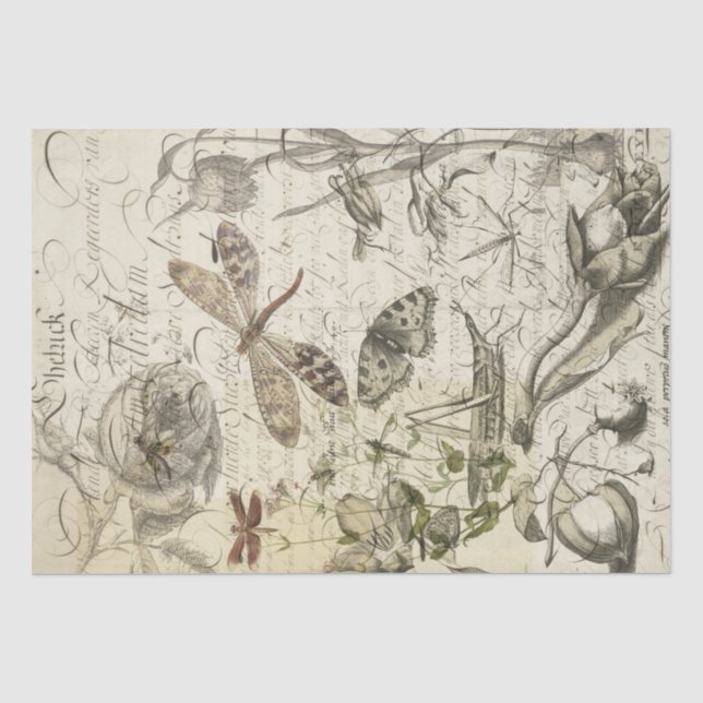 Natur-Collage Seidenpapier (Vorderseite)